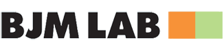 Bjm Labs Website Build